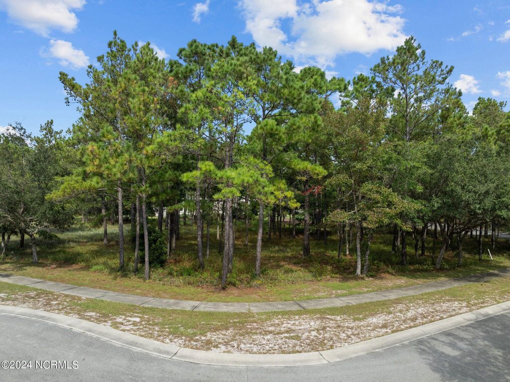 Photo of 3751 Acadian Avenue SW, Supply, NC 28462 (MLS # 100469071)