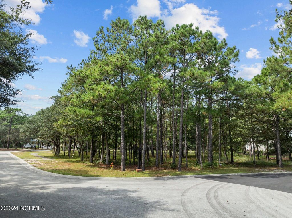 Photo of 3751 Acadian Avenue SW, Supply, NC 28462 (MLS # 100469071)