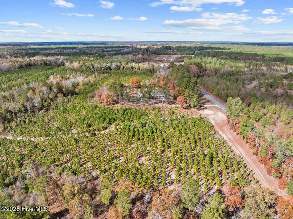 Photo of 7399 Burney Road, White Oak, NC 28399 (MLS # 100543470)