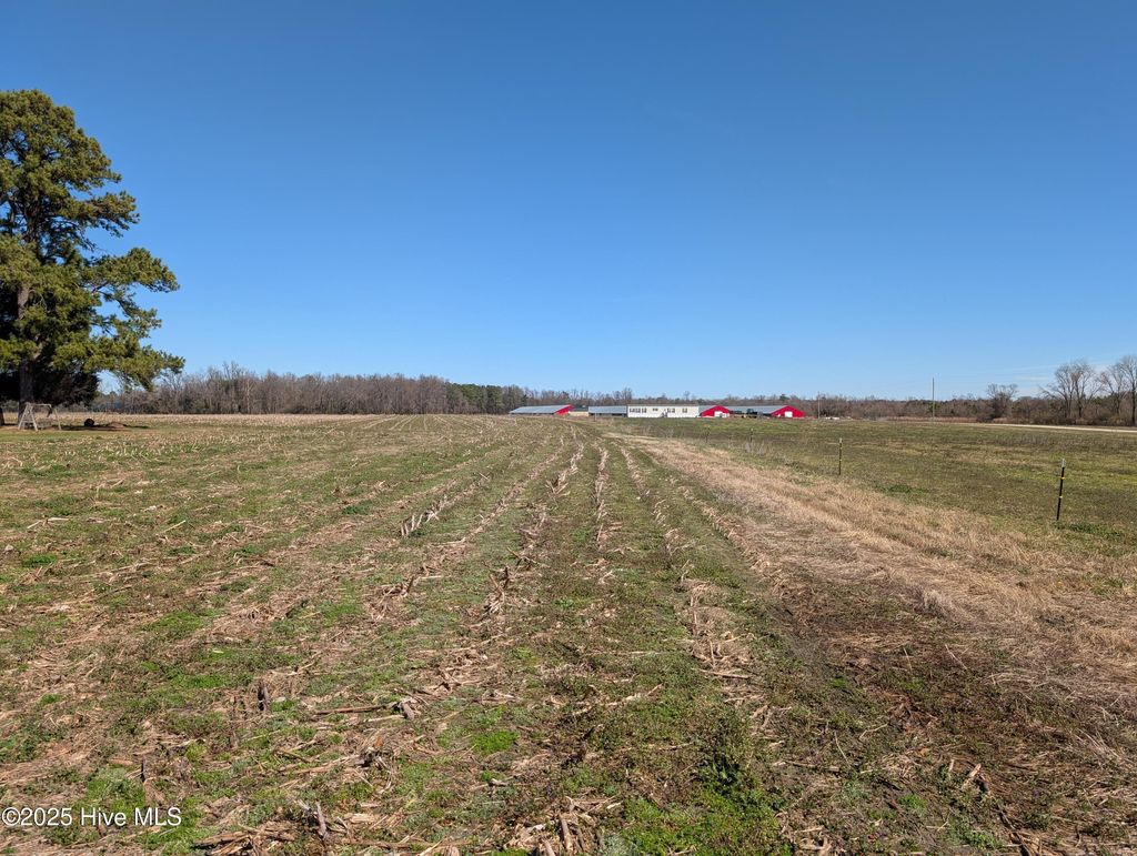 Photo of 000 Cedar Fork Road, Beulaville, NC 28518 (MLS # 100489462)