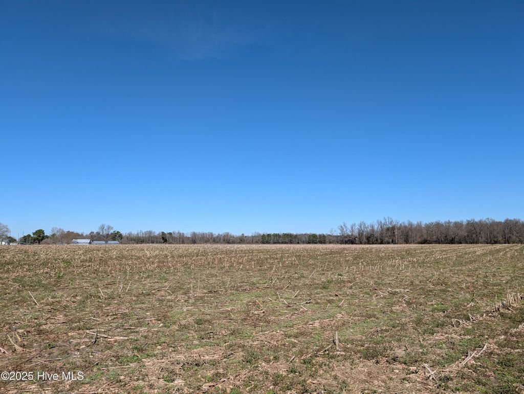 Photo of 000 Cedar Fork Road, Beulaville, NC 28518 (MLS # 100489462)