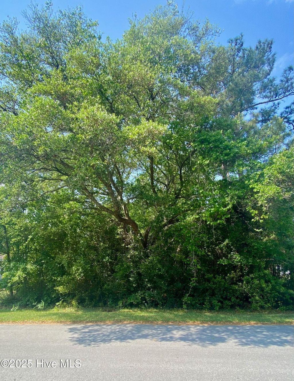 Photo of 1365 Riverview Drive SW, Shallotte, NC 28470 (MLS # 100502934)