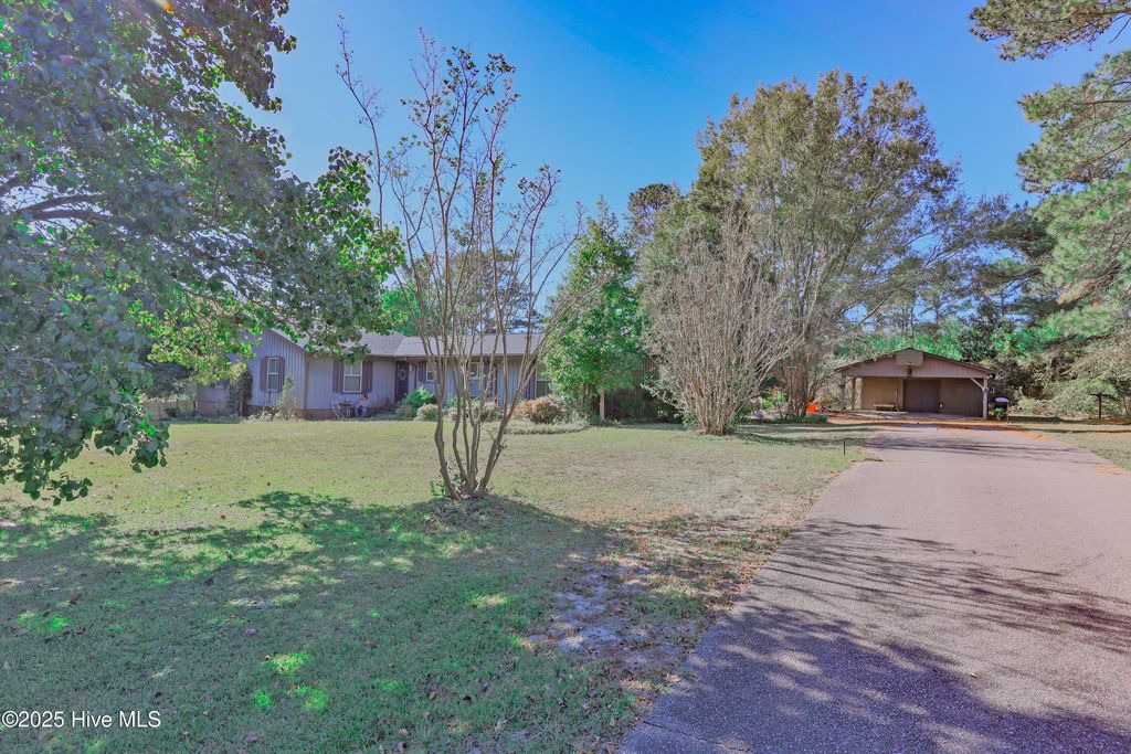 Photo of 451 Tracy Brown Road, Magnolia, NC 28453 (MLS # 100537173)