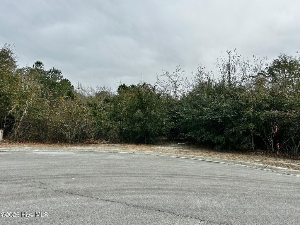 Photo of 110 Brandon Avenue, Hubert, NC 28539 (MLS # 100490825)