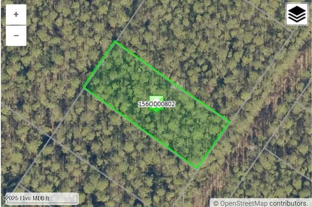 Photo of 1008 7th Road, Boiling Spring Lakes, NC 28461 (MLS # 100527433)