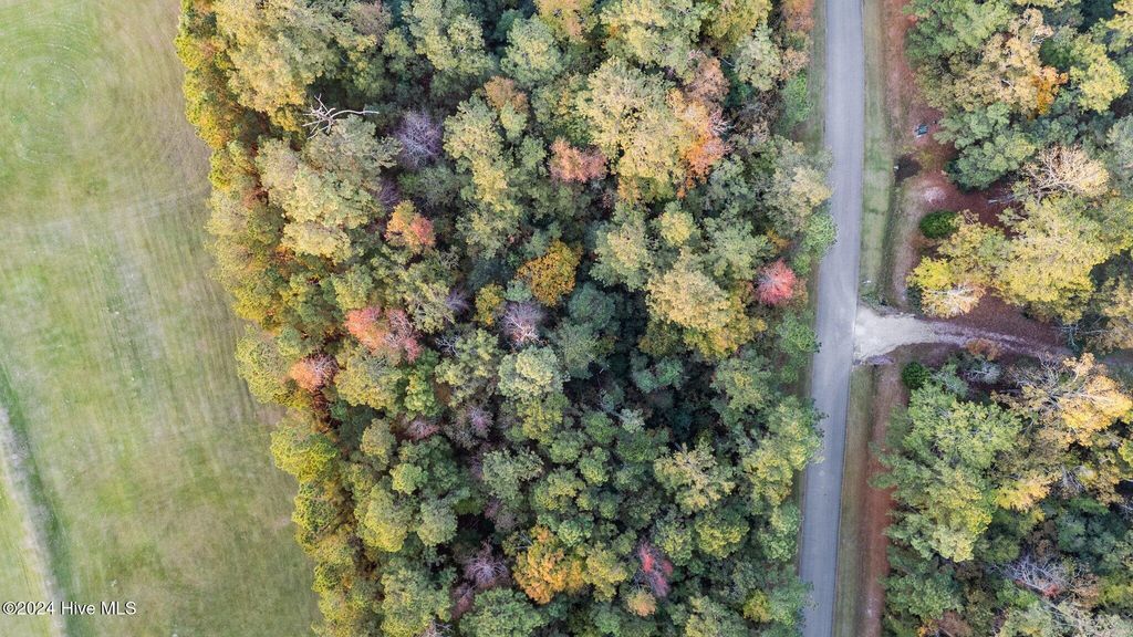 Photo of 117 Little Creek Drive, Havelock, NC 28532 (MLS # 100521604)