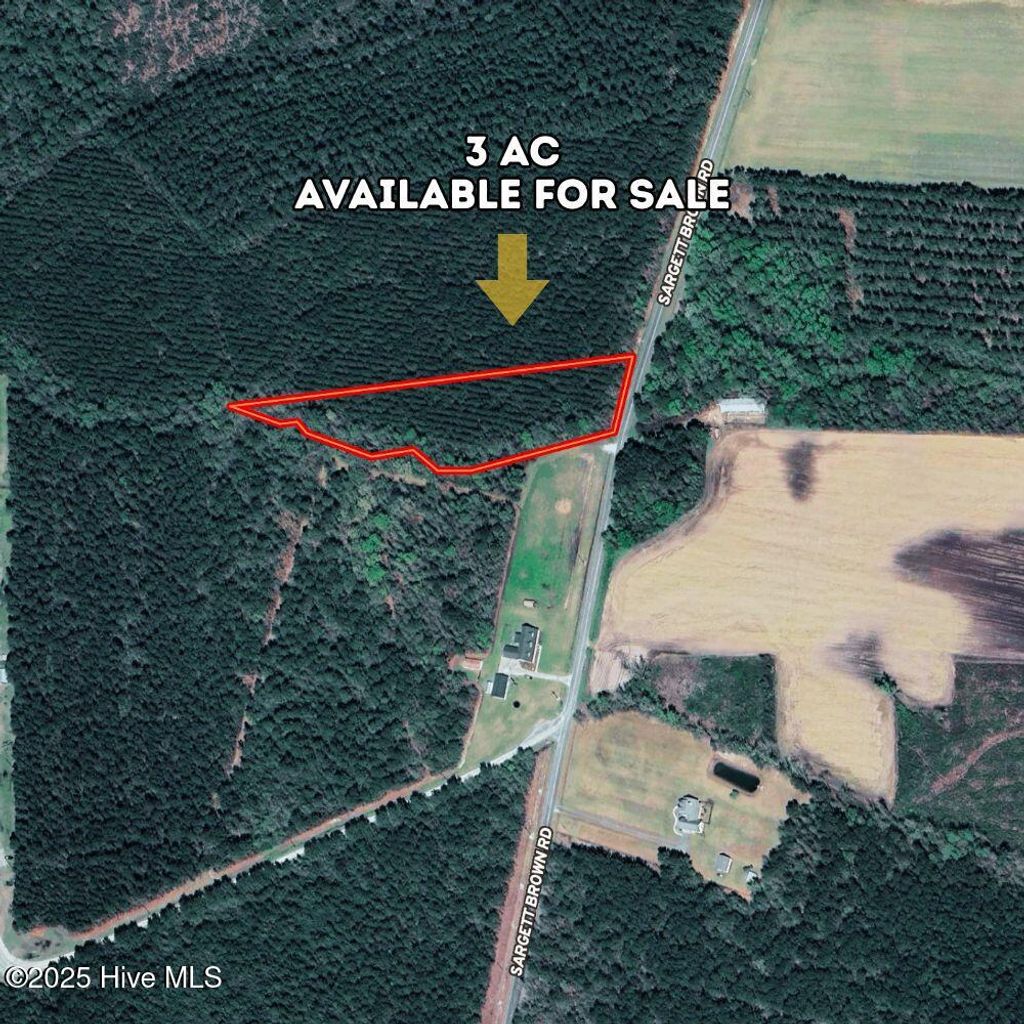Photo of 0 Sargett Brown Road, Deep Run, NC 28525 (MLS # 100538238)