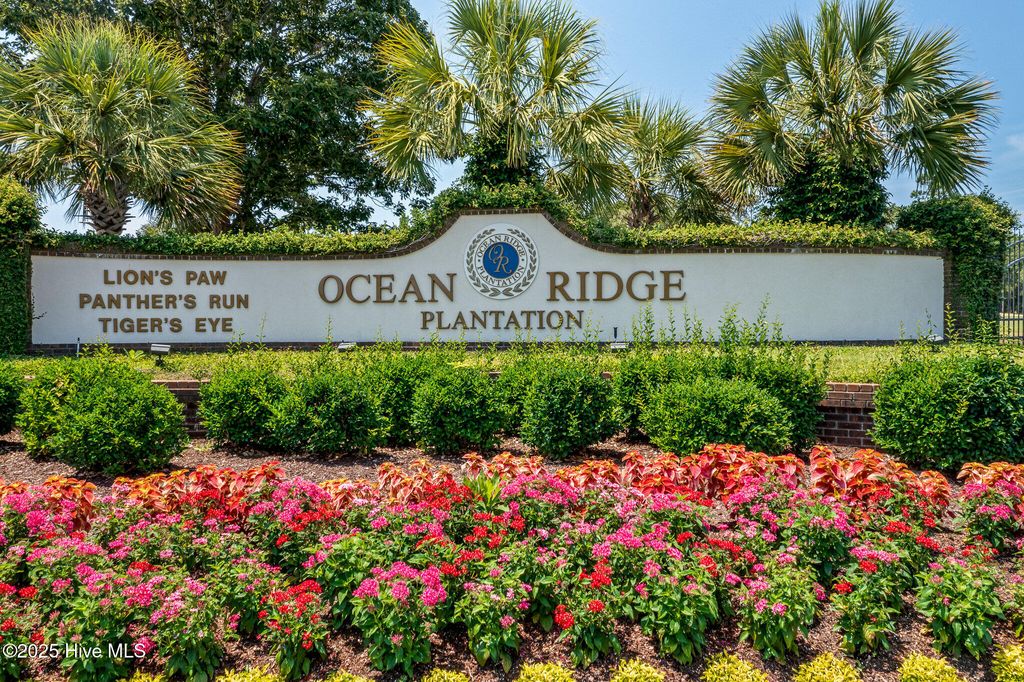 Photo of 7065 Bloomsbury Court SW, Ocean Isle Beach, NC 28469 (MLS # 100535252)