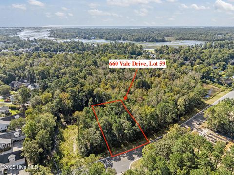 Photo of 660 Vale Drive, Wilmington, NC 28411 (MLS # 100531378)