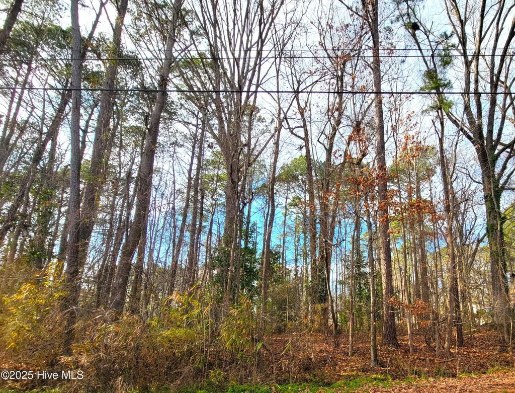 Photo of 34 Brassie Drive, Grifton, NC 28530 (MLS # 100496195)