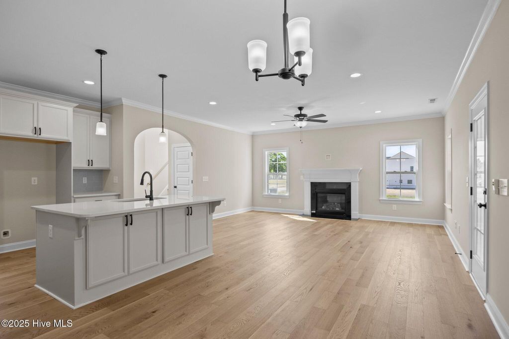 Photo of 313 Gerbera Court, Greenville, NC 27858 (MLS # 100516898)