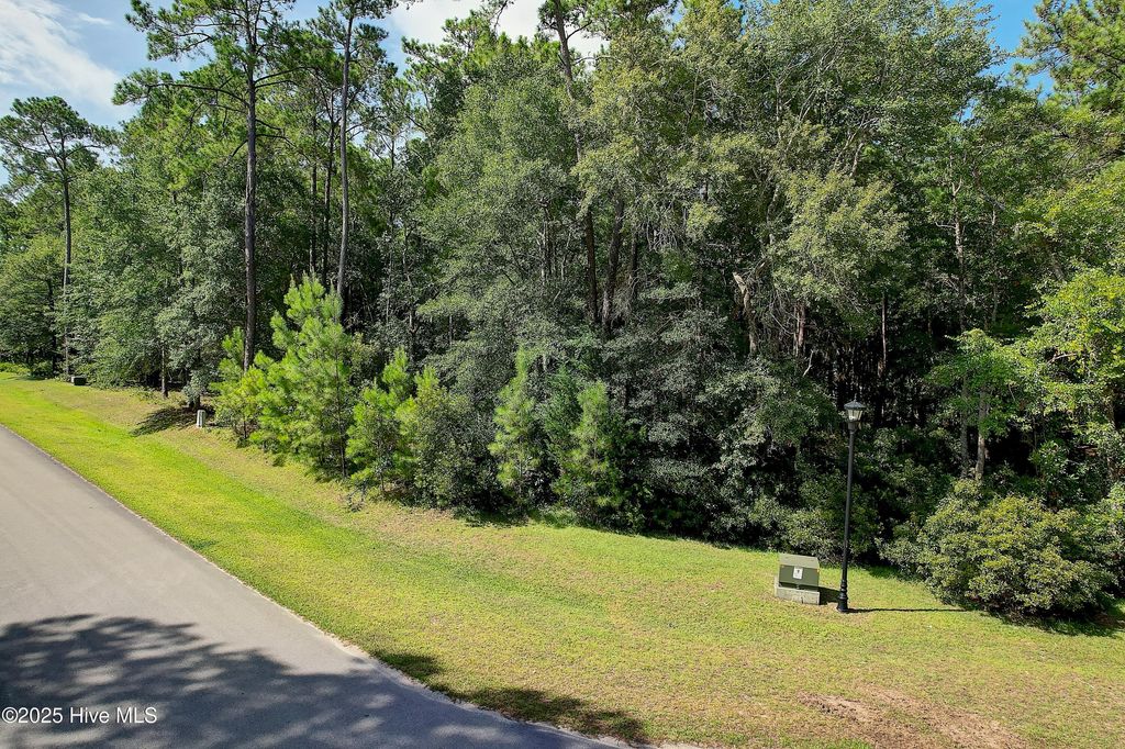 Photo of 3374 Portside Drive SW, Supply, NC 28462 (MLS # 100520156)