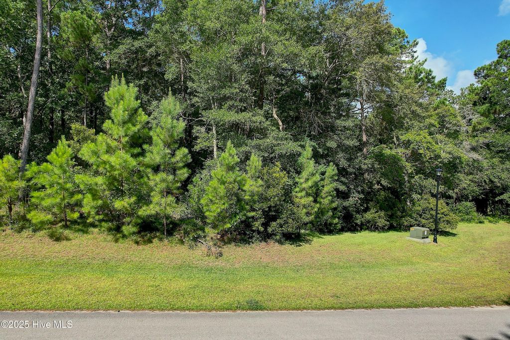 Photo of 3374 Portside Drive SW, Supply, NC 28462 (MLS # 100520156)