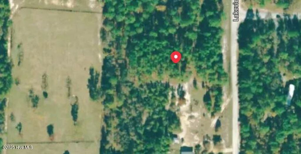 Photo of 350 Lakeview Lane, Cameron, NC 28326 (MLS # 100542790)