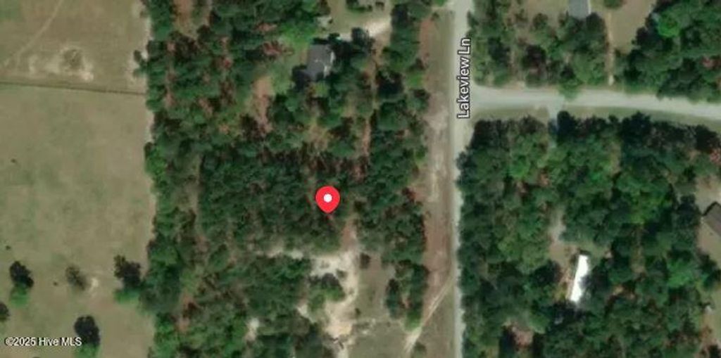 Photo of 350 Lakeview Lane, Cameron, NC 28326 (MLS # 100542790)