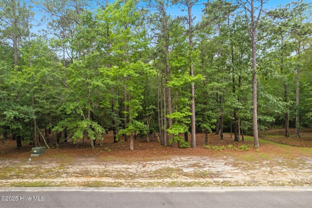 Photo of 2112 Arnold Palmer Drive, Shallotte, NC 28470 (MLS # 100525707)