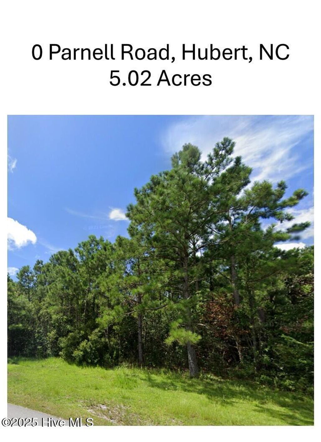 Photo of 0 Parnell Road, Hubert, NC 28539 (MLS # 100520872)