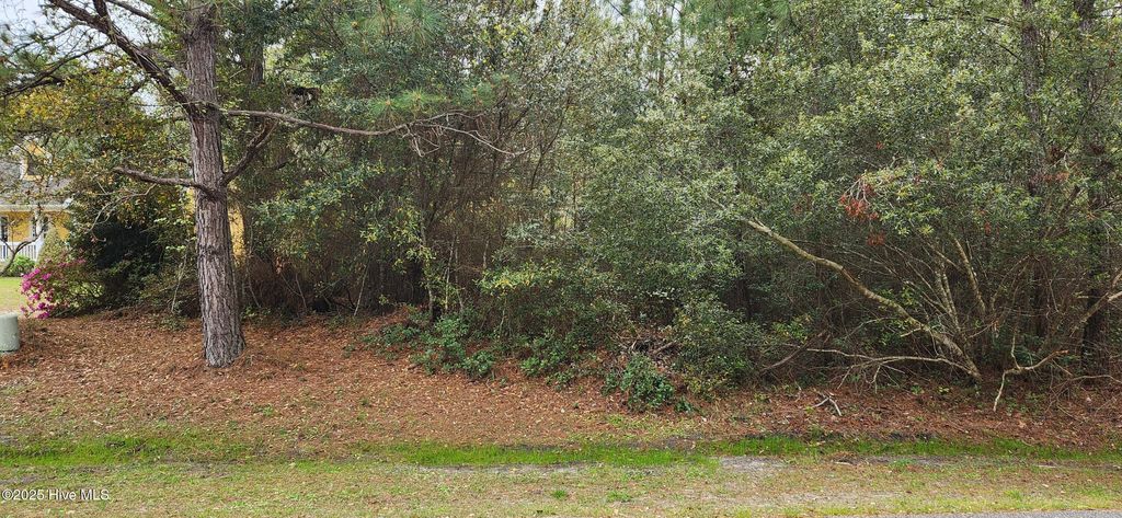 Photo of 3421 Glen Court SE, Southport, NC 28461 (MLS # 100520771)
