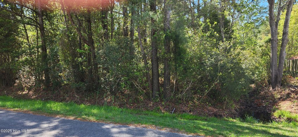 Photo of 3421 Glen Court SE, Southport, NC 28461 (MLS # 100520771)