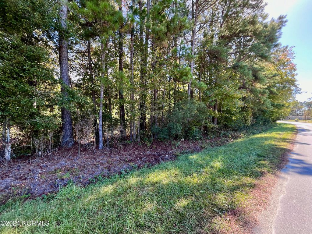 Photo of 00 Liberty Park Road, Jacksonville, NC 28540 (MLS # 100471977)
