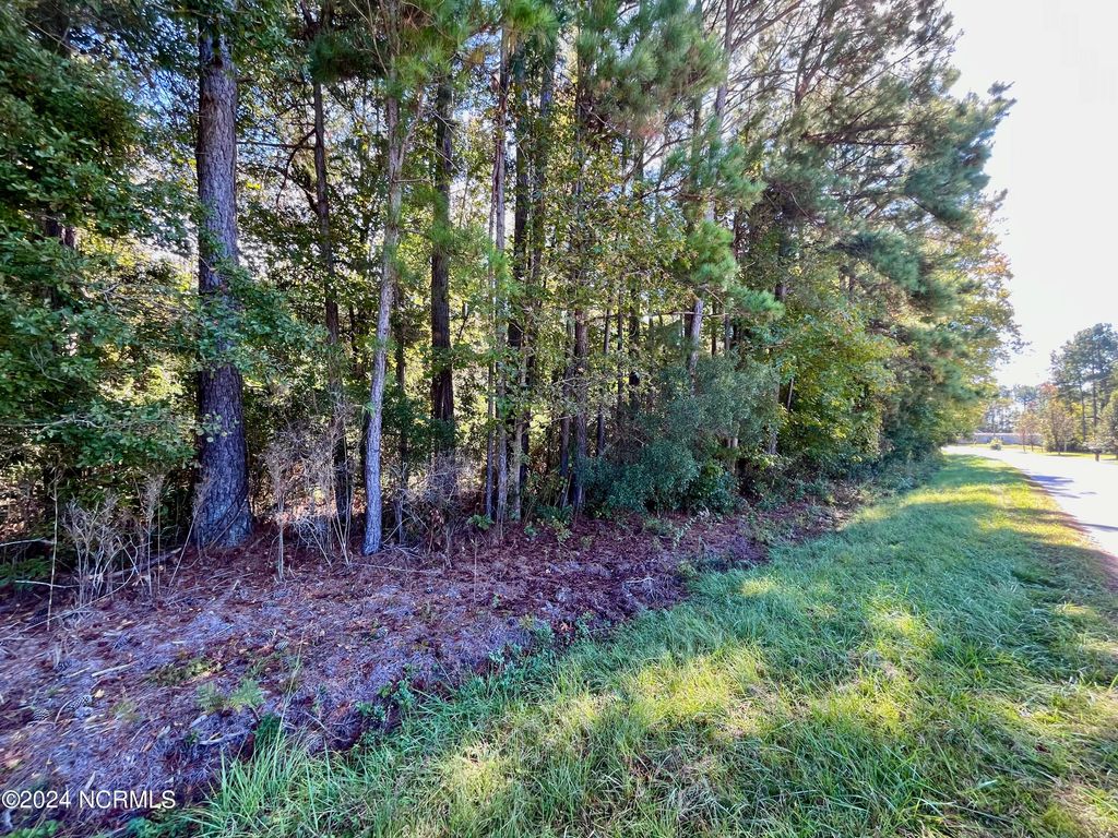 Photo of 00 Liberty Park Road, Jacksonville, NC 28540 (MLS # 100471977)