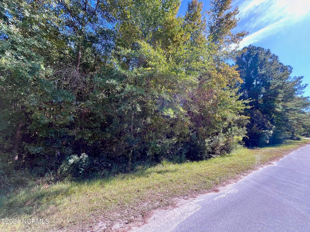 Photo of 00 Liberty Park Road, Jacksonville, NC 28540 (MLS # 100471977)