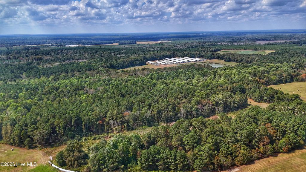 Photo of 0 Burney Road, White Oak, NC 28399 (MLS # 100536888)