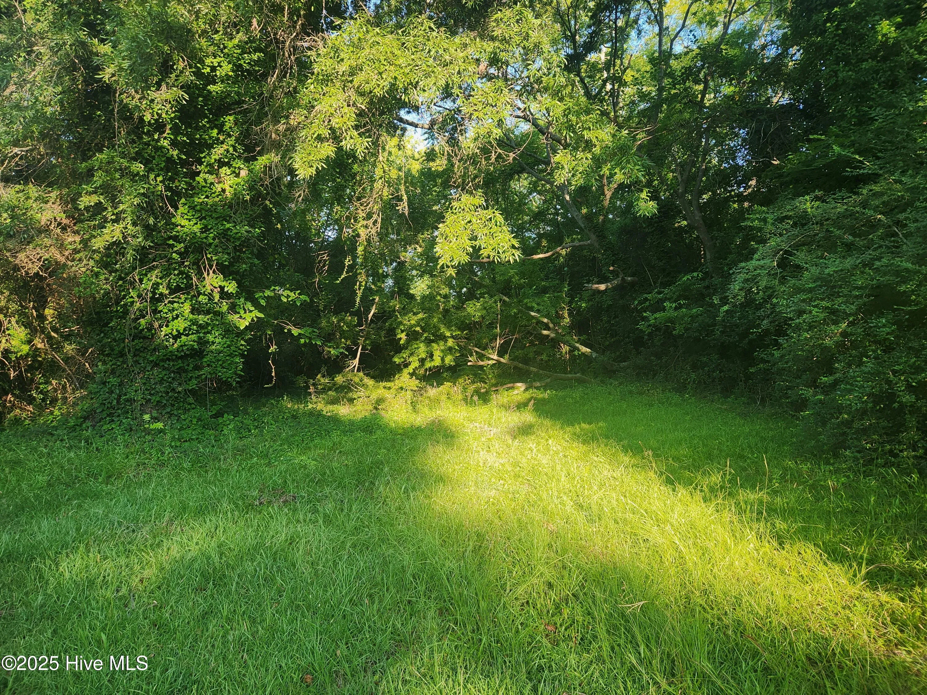 Goldsboro, North Carolina 27530, United States, ,Land,Active,179785