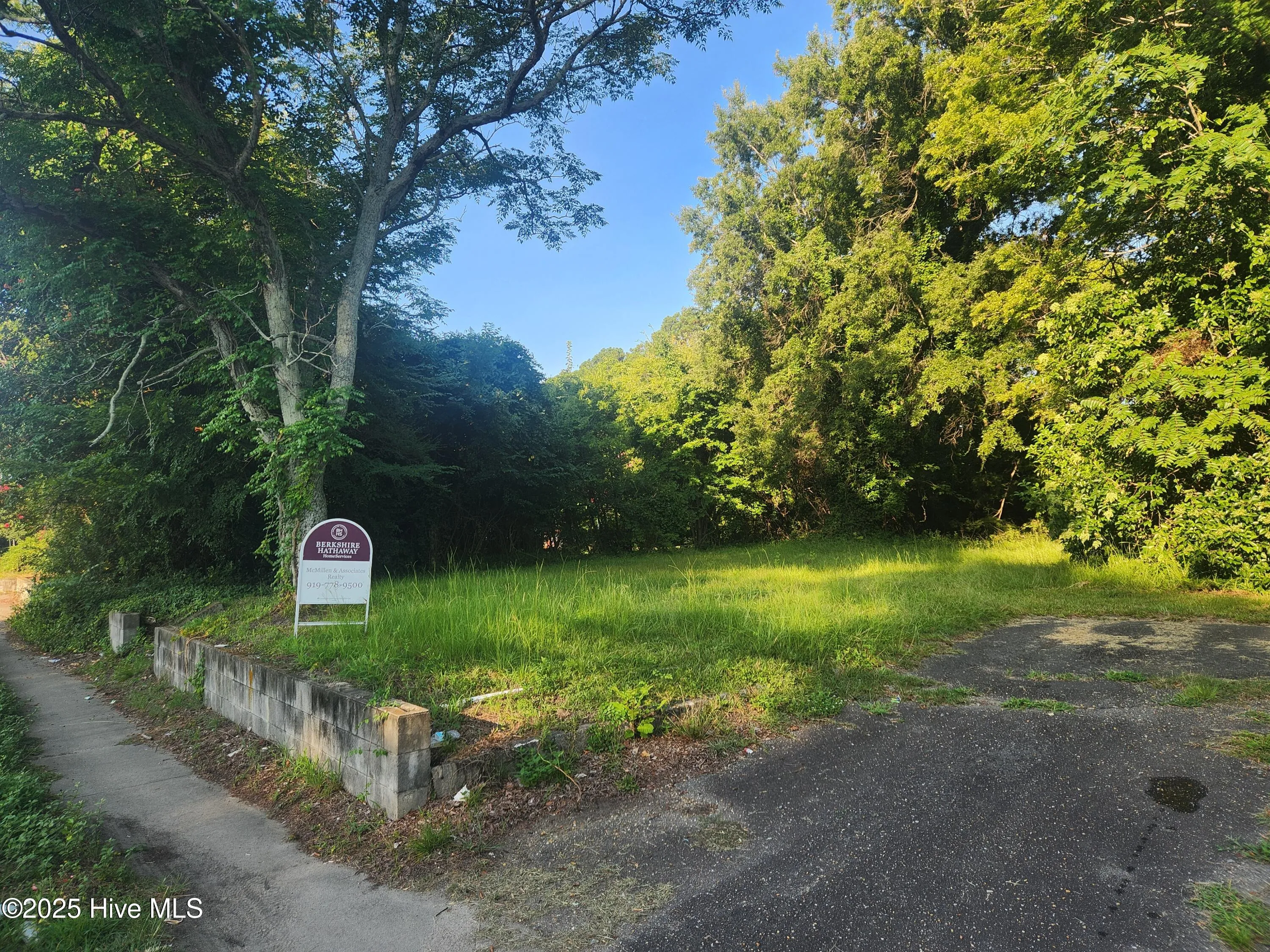 Goldsboro, North Carolina 27530, United States, ,Land,Active,179785 Goldsboro, North Carolina 27530, United States, ,Land,Active,179785