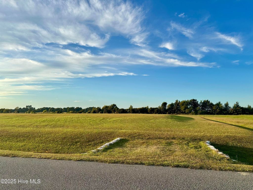 Photo of 189 Bald Eagle Pointe Drive, Hertford, NC 27944 (MLS # 100535669)