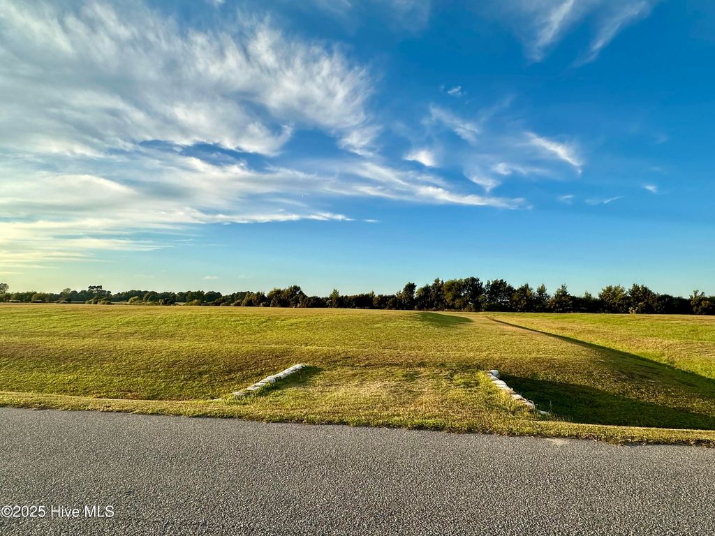 Photo of 189 Bald Eagle Pointe Drive, Hertford, NC 27944 (MLS # 100535669)
