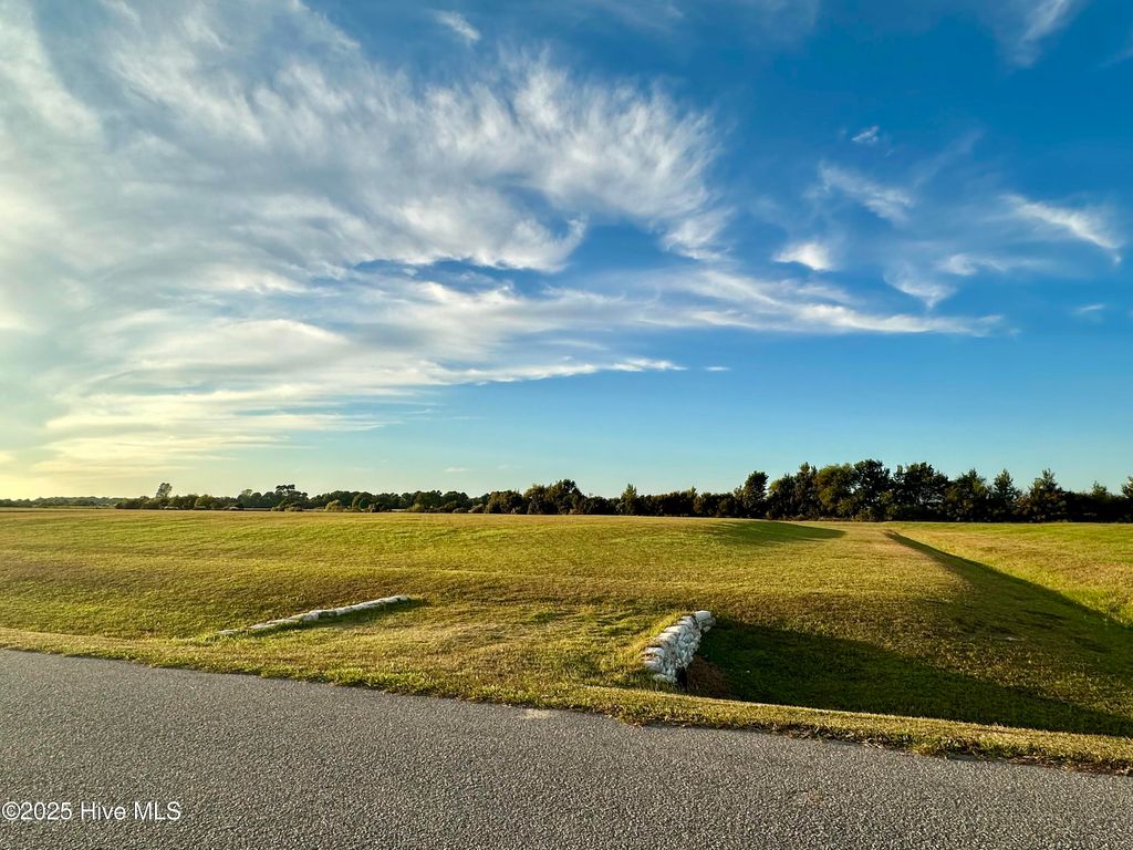 Photo of 189 Bald Eagle Pointe Drive, Hertford, NC 27944 (MLS # 100535669)