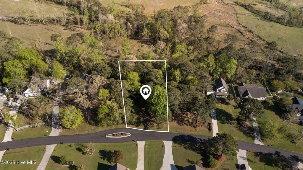 Photo of 123 White Heron Lane, Swansboro, NC 28584 (MLS # 100500598)