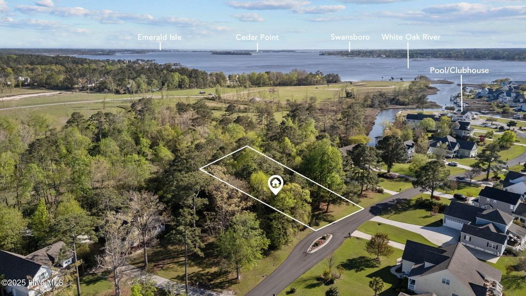 Photo of 123 White Heron Lane, Swansboro, NC 28584 (MLS # 100500598)