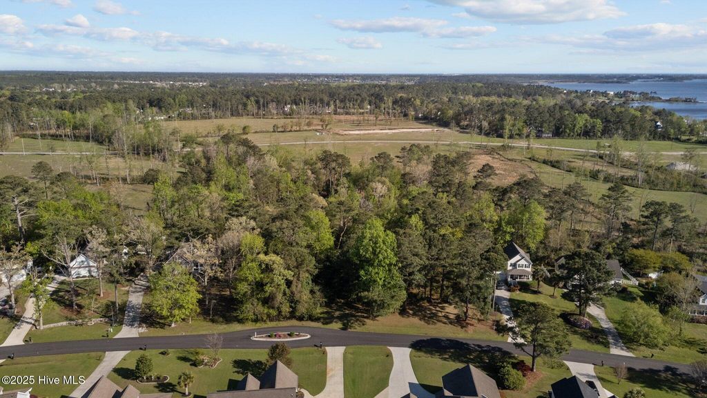 Photo of 123 White Heron Lane, Swansboro, NC 28584 (MLS # 100500598)