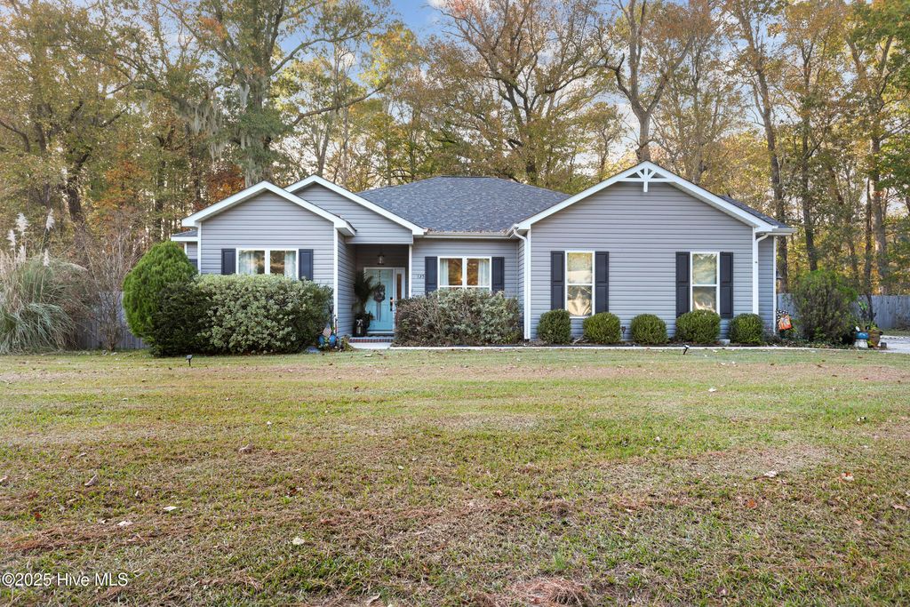 Photo of 135 Stones Throw Court, Rocky Point, NC 28457 (MLS # 100541940)