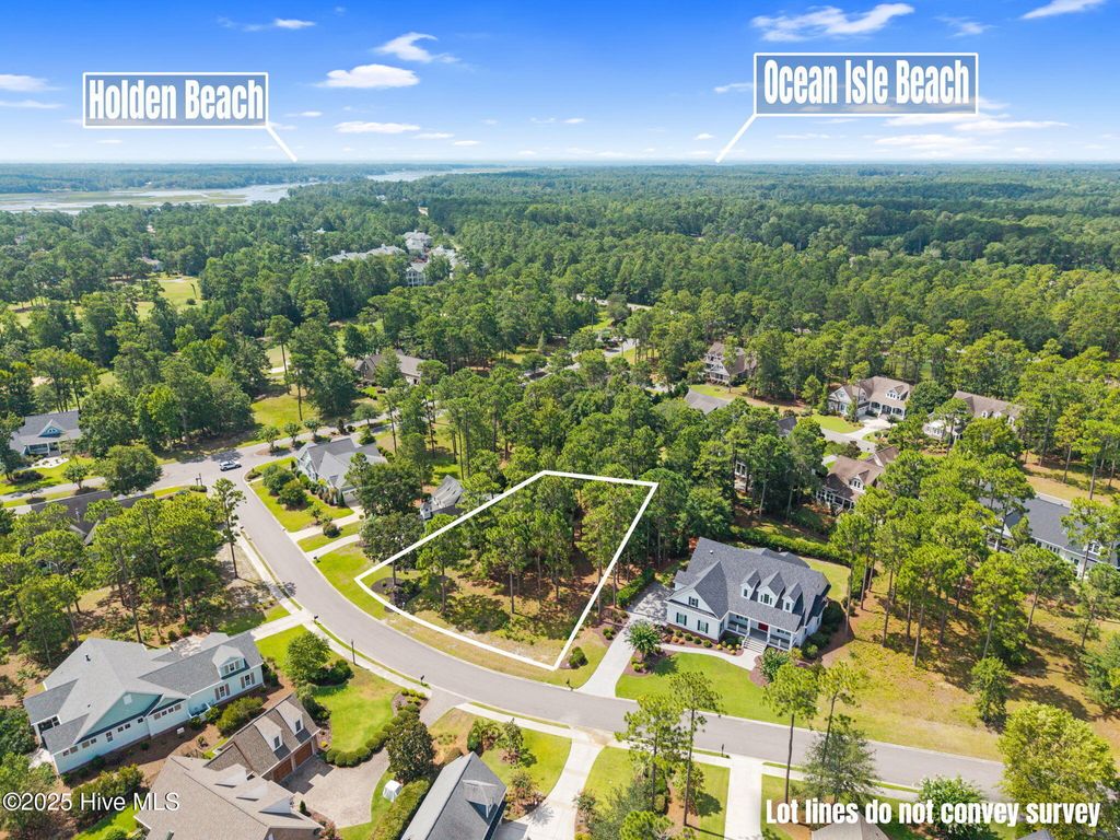 Photo of 491 Laurel Valley Drive, Shallotte, NC 28470 (MLS # 100521128)
