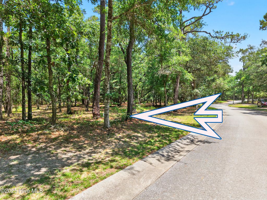 Photo of 664 N Seascape Boulevard SW, Supply, NC 28462 (MLS # 100519468)