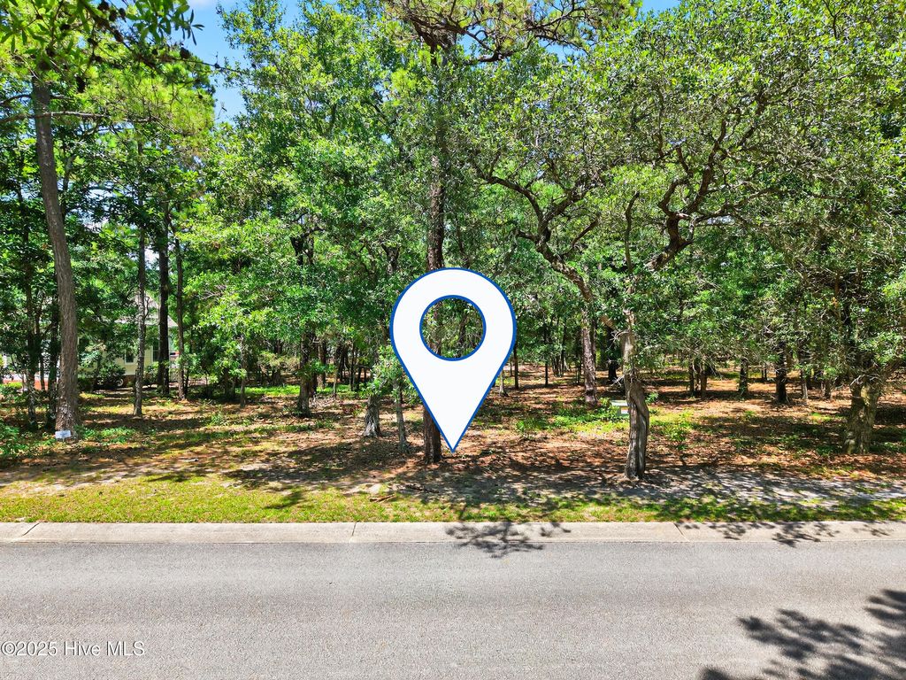 Photo of 664 N Seascape Boulevard SW, Supply, NC 28462 (MLS # 100519468)