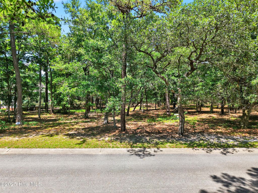 Photo of 664 N Seascape Boulevard SW, Supply, NC 28462 (MLS # 100519468)