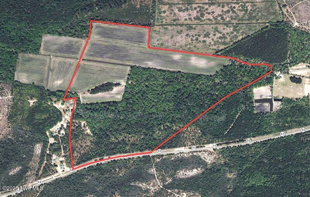 Photo of Tbd Hwy 53, Kelly, NC 28448 (MLS # 100539176)