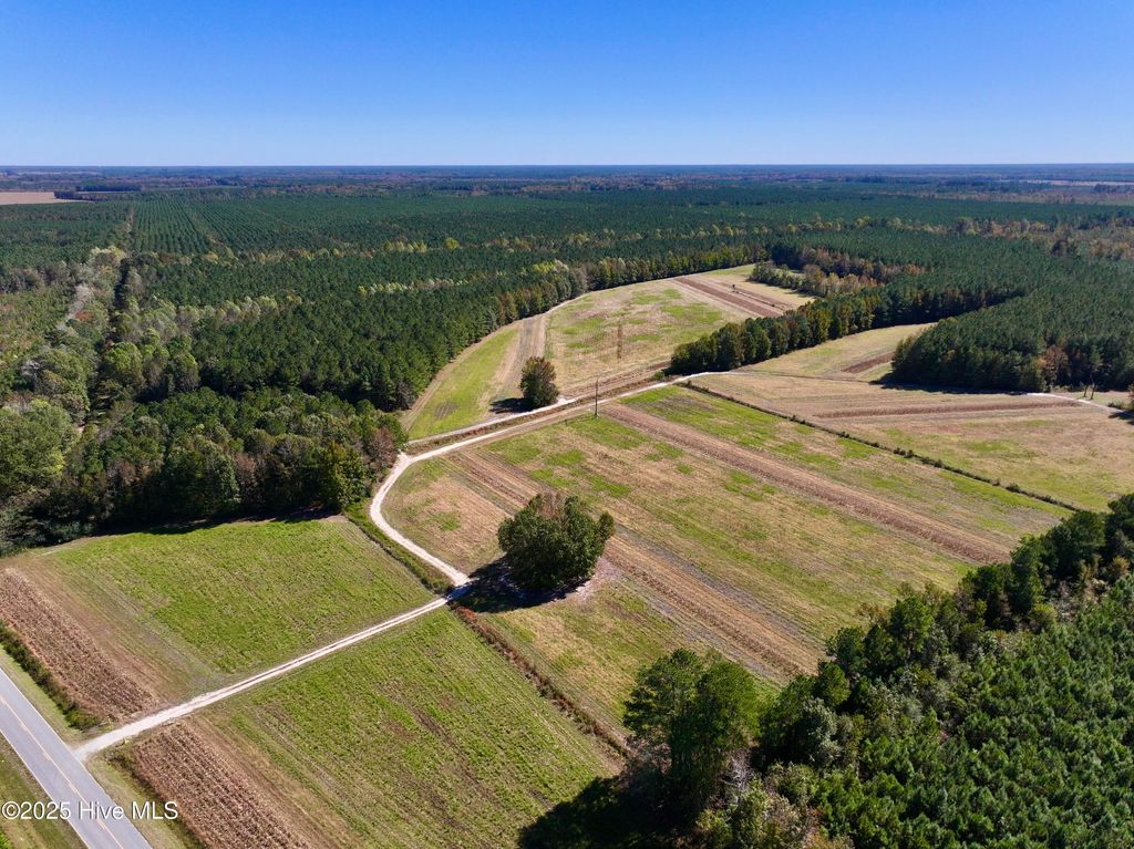Photo of 00 Gaskins Road, Grimesland, NC 27837 (MLS # 100537828)