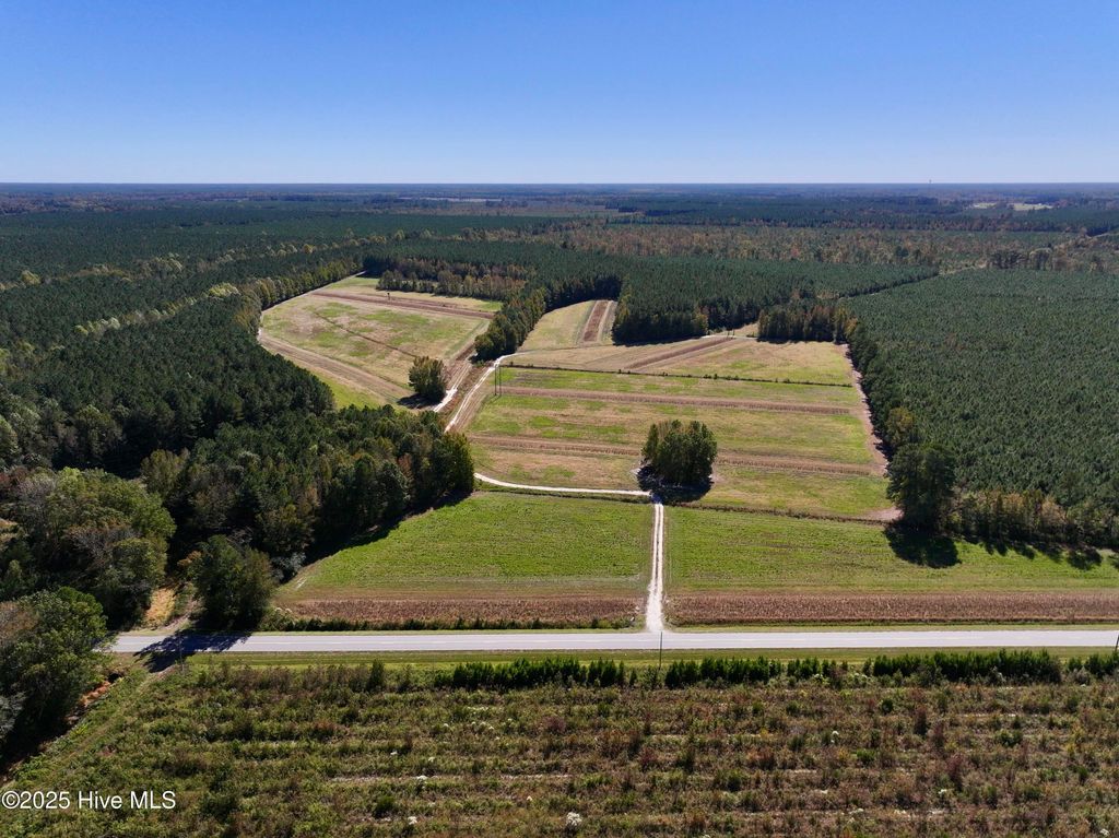 Photo of 00 Gaskins Road, Grimesland, NC 27837 (MLS # 100537828)