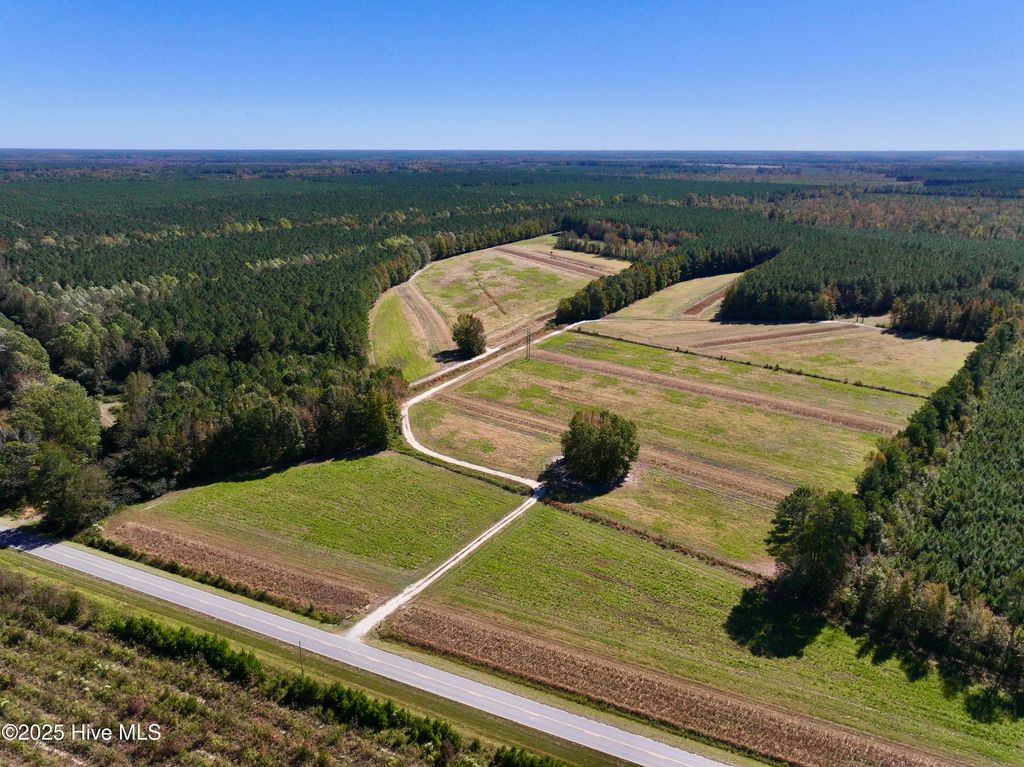 Photo of 00 Gaskins Road, Grimesland, NC 27837 (MLS # 100537828)
