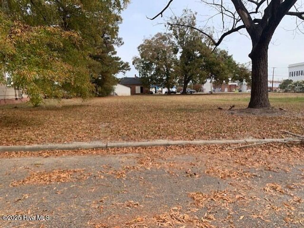 Photo of Tbd South Street W, Ahoskie, NC 27910 (MLS # 100526085)