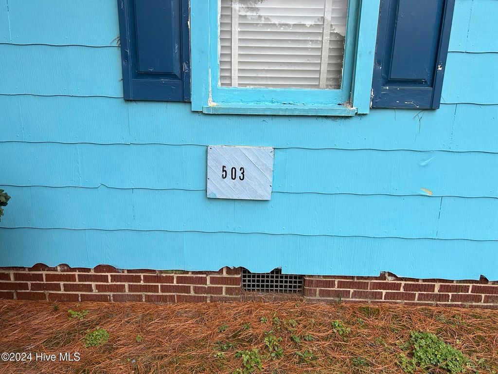 Photo of 503 W Scotland Street, Maxton, NC 28364 (MLS # 100535261)