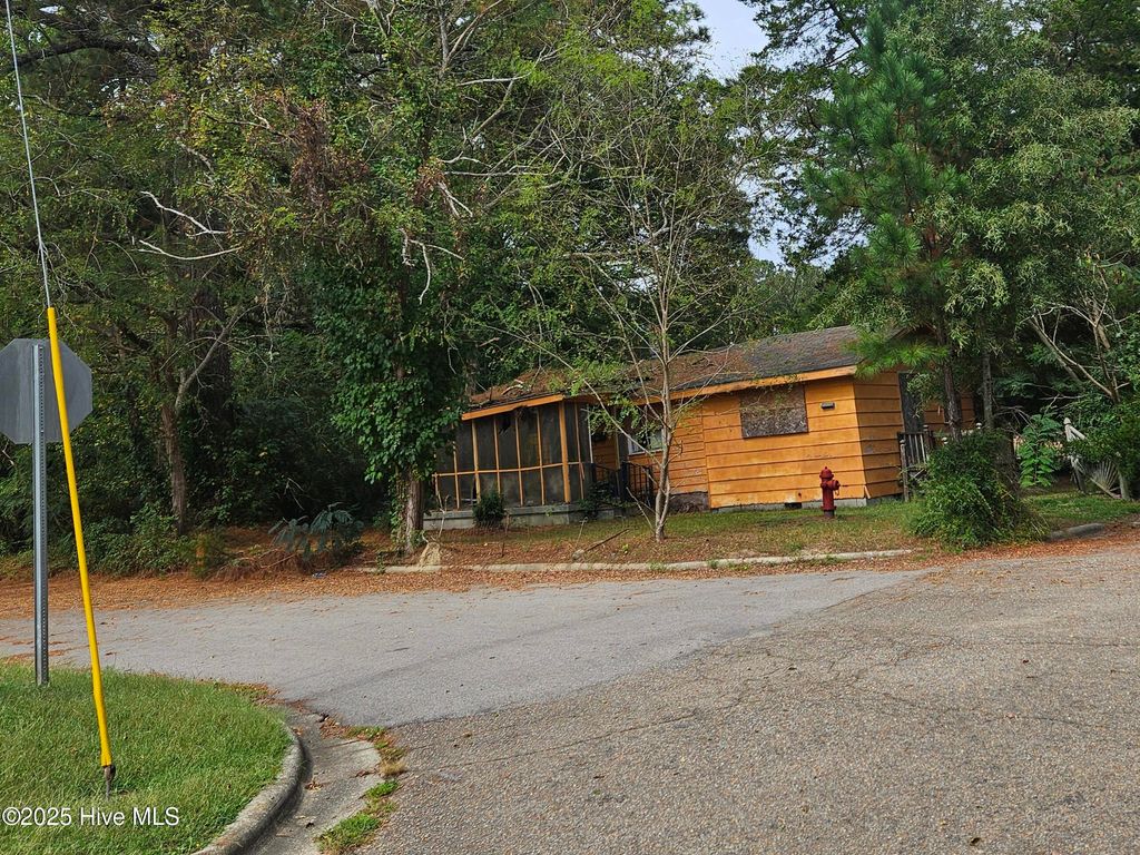Photo of 601 Roanoke Street, Windsor, NC 27983 (MLS # 100538338)