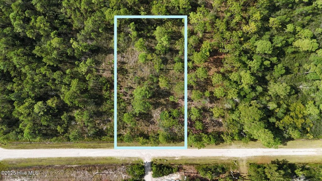 Photo of 6 Statesville Road, Boiling Spring Lakes, NC 28461 (MLS # 100536368)