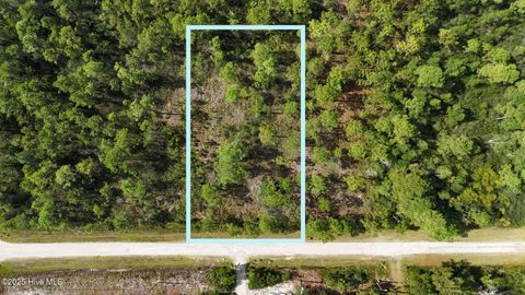 Tiny photo for 6 Statesville Road, Boiling Spring Lakes, NC 28461 (MLS # 100536368)
