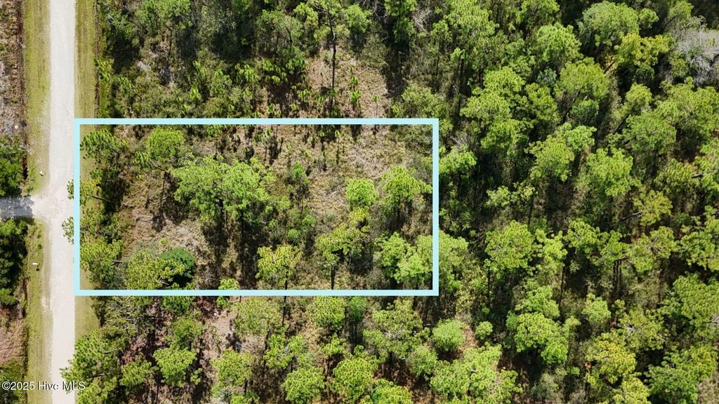 Photo of 6 Statesville Road, Boiling Spring Lakes, NC 28461 (MLS # 100536368)